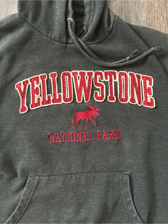 Blue 84 Tops - Blue 84 Dark Gray Hoodie- Yellowstone National Park- moose